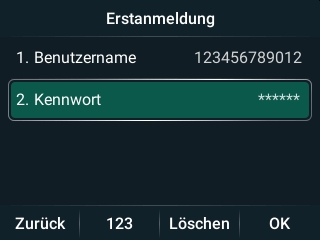 Yealink T73W - Nutzerdaten eingegeben